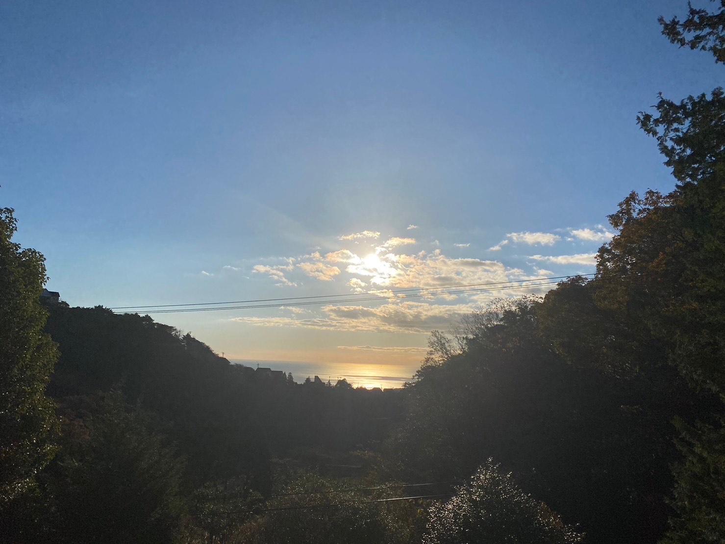 占い師椿のお気に入り写真1